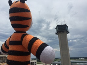 Hobbes and the FAA Tower