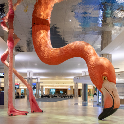 Call For Artists 2025 | Tampa International Airport