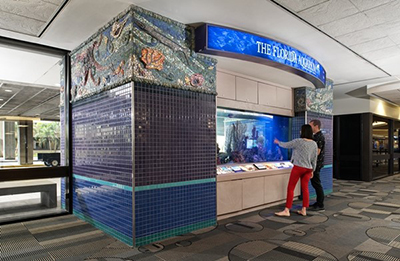 Artwork from TPA Collection - El Movimiento del Mar