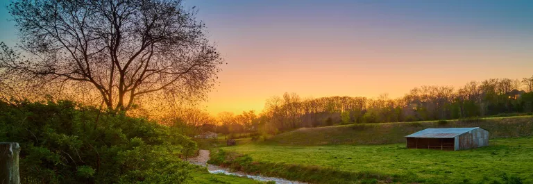 Bentonville Fayeteville landscape XNA