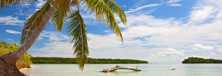 Key West landscape EYW