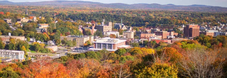 Bangor ME skyline