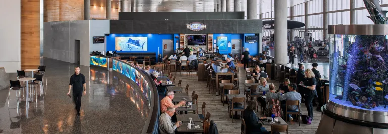 people seated at Rum Fish Grill restaurant at Tampa International Airport