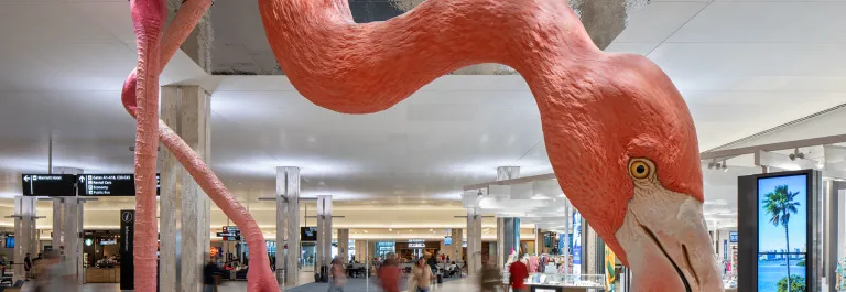 Experience Art at Tampa International Airport. Sculpture of a large flamingo as seen from under water. Home by Matthew Mazzotta.