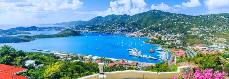 Aerial photo of Megan's bay Saint Thomas