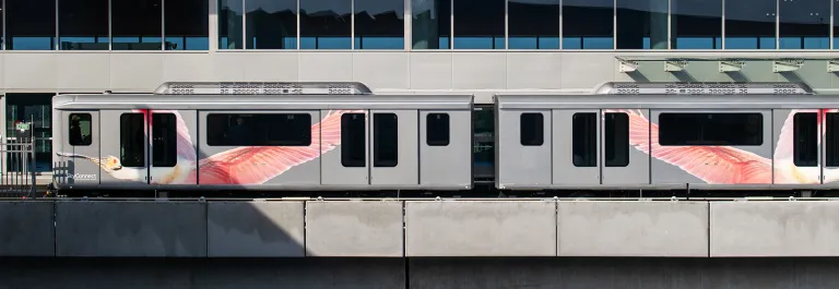 SkyConnect Train
