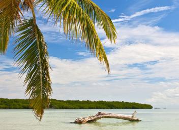 Key West landscape EYW