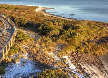 Pensacola landscape PNS