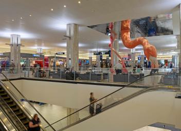 Policy updates aim to expand small business opportunities at TPA
