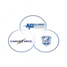 Cargo Force TPA / Alliance Ground International logo