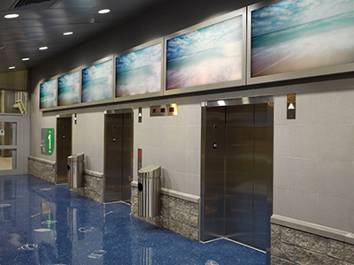 Art Collection of Tampa International Airport - Sea Shadows – Source, Shadows and Surface