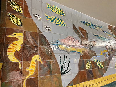 Artwork from TPA Collection - Tropical Fish Tile Collage